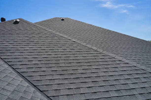 Best Roof Leak Repair  in Buena Vista, VA